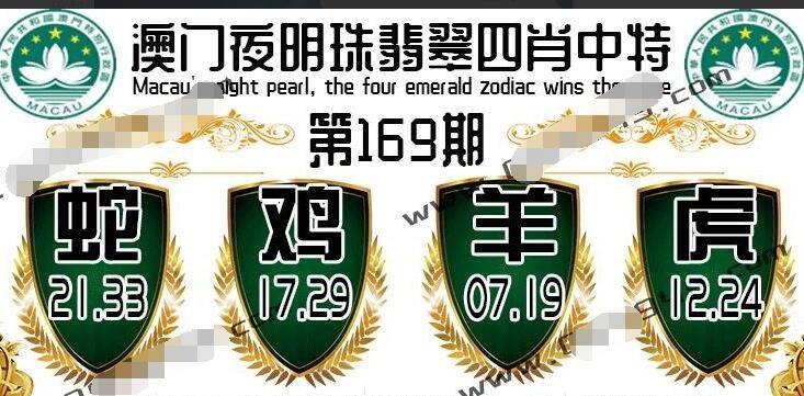 澳门精准一肖一码准确的应用亮点,设计策略快速解答_VR型43.237