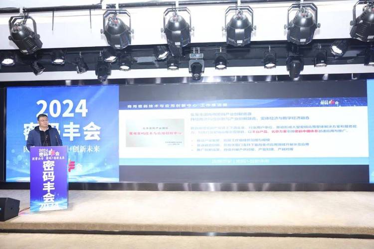 2024澳门正版资料免费大全丰,真实经典策略设计_VR型43.237