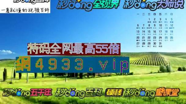 澳门6合资料免费大全公开,真实经典策略设计_VR型43.237