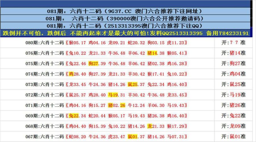 澳门49图库资料精准,设计策略快速解答_整版DKJ656.74