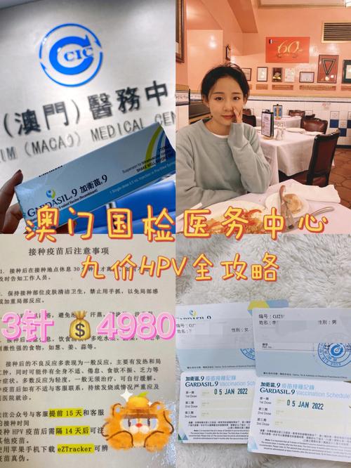 澳门正版资料大全免费公开2022,设计策略快速解答_整版DKJ656.74