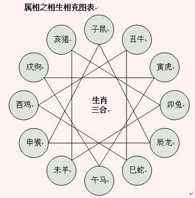 澳门准一码中l特今日生肖相冲