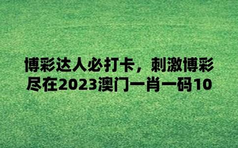 2022年全年澳门码的资料