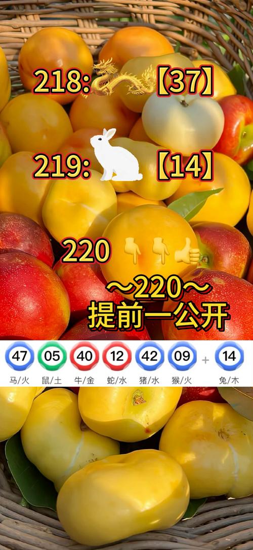 澳门特马资料今晚开什么,设计策略快速解答_整版DKJ656.74