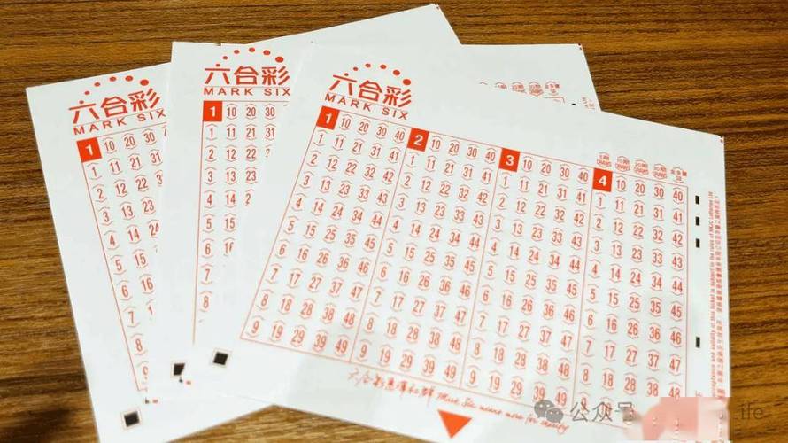 6合神童免费资料2023澳门开奖