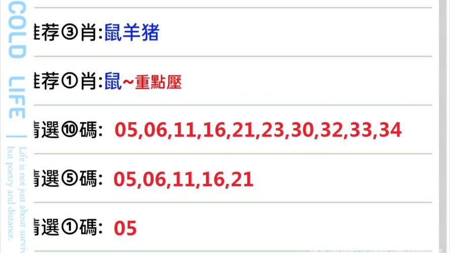 六肖中特100%期期中奖,绝对策略计划研究_社交版40.12.0